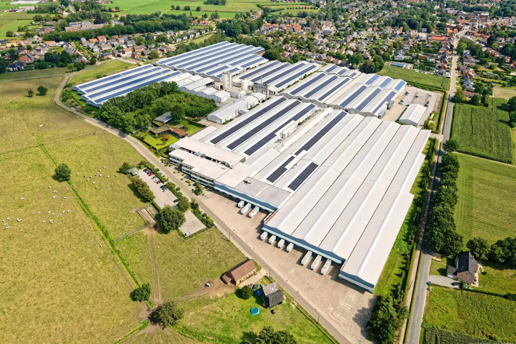 Productiehal van de Mintjens Group in Westmalle, partner van CIB Wood voor premium loofhout